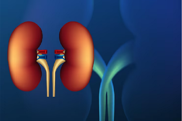 Finding Relief From Renal Failure With Ayurvedic Medicine